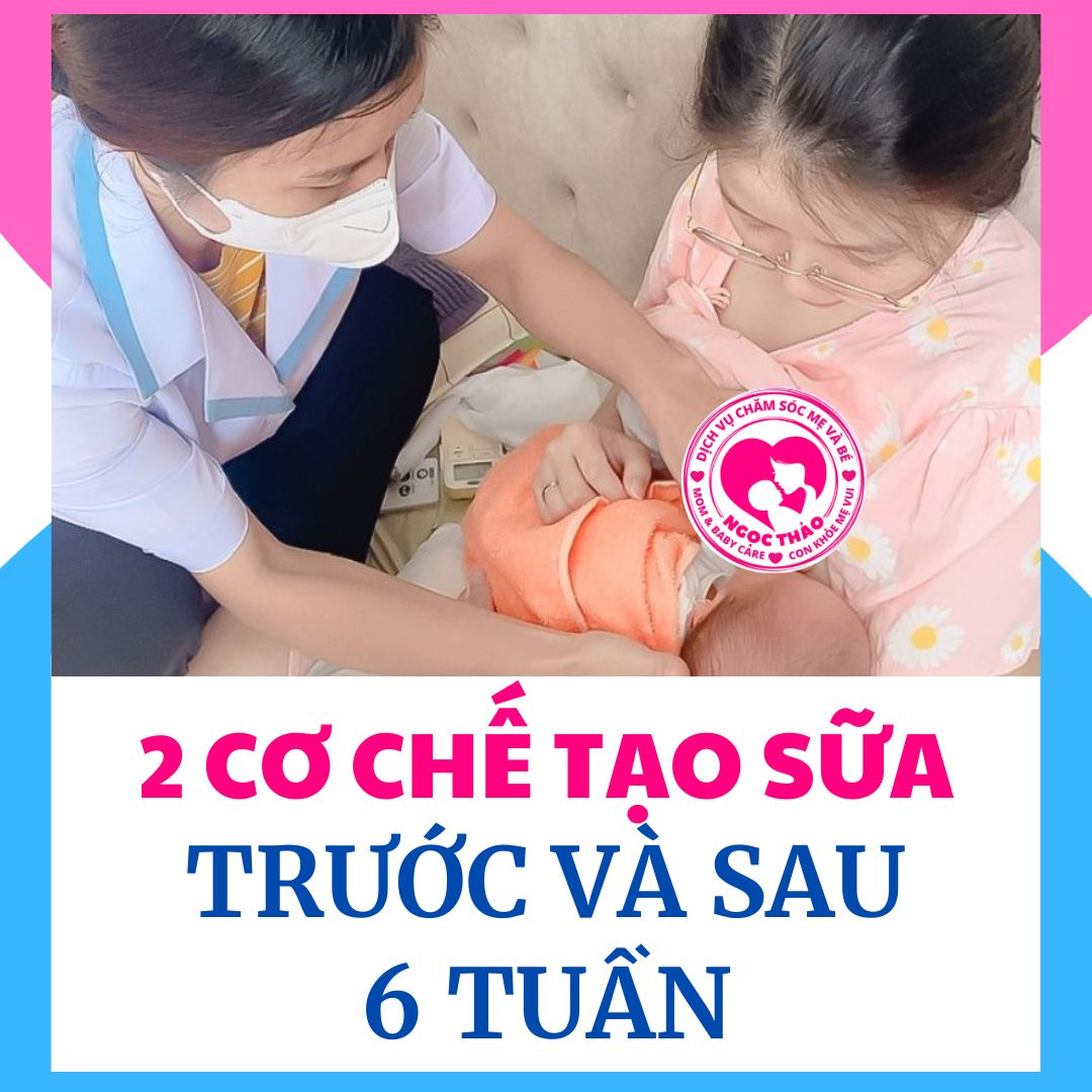 Cơ chế tạo sữa mẹ trước và sau 6 tuần